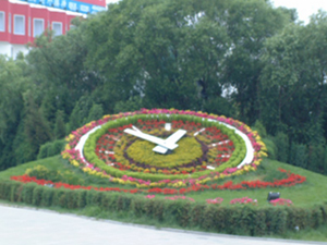 Relógio floral em parque